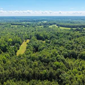 Photo #35 of 2829 Winningham Road, Crewe, VA 5.6 acres