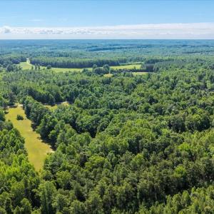 Photo #36 of 2829 Winningham Road, Crewe, VA 5.6 acres