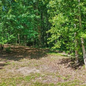 Photo #38 of 2829 Winningham Road, Crewe, VA 5.6 acres