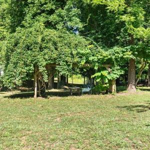 Photo #42 of 2829 Winningham Road, Crewe, VA 5.6 acres