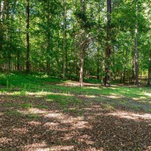 Photo #45 of 2829 Winningham Road, Crewe, VA 5.6 acres