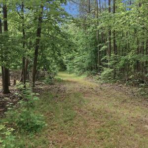 Photo #63 of 51 FARM FOLLY LN, Cumberland, VA 64.8 acres
