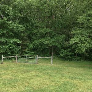Photo #65 of 51 FARM FOLLY LN, Cumberland, VA 64.8 acres