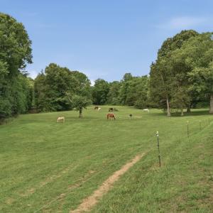 Photo #74 of 51 FARM FOLLY LN, Cumberland, VA 64.8 acres