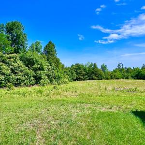 Photo #3 of 7503 S Genito Road, Jetersville, VA 2.0 acres