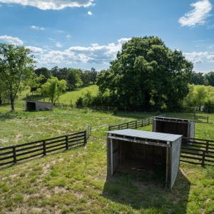 Photo #58 of 14619 Thomas Jefferson HWY, Pamplin, VA 5.1 acres