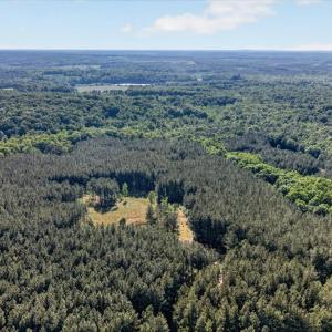 Photo #34 of 2131 Meherrin Road, Meherrin, VA 12.7 acres