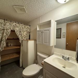 Photo #13 of 248 Morris Church Road, Brookneal, VA 1.5 acres