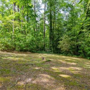 Photo #30 of 603 East 6th Ave, Kenbridge, VA 1.0 acres