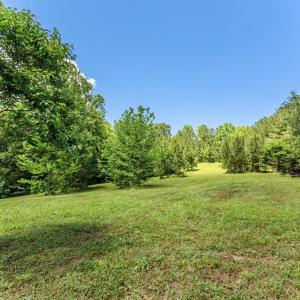 Photo #54 of 1408 Coleman Mountain Rd, Appomattox, VA 23.6 acres