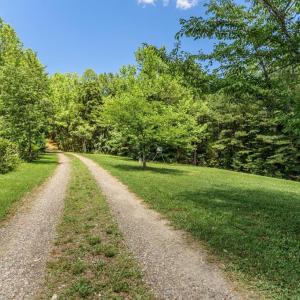 Photo #55 of 1408 Coleman Mountain Rd, Appomattox, VA 23.6 acres