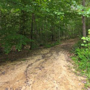 Photo #62 of 1408 Coleman Mountain Rd, Appomattox, VA 23.6 acres