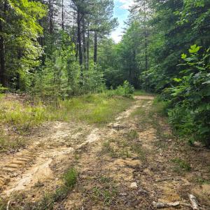 Photo #63 of 1408 Coleman Mountain Rd, Appomattox, VA 23.6 acres