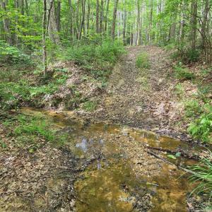 Photo #64 of 1408 Coleman Mountain Rd, Appomattox, VA 23.6 acres