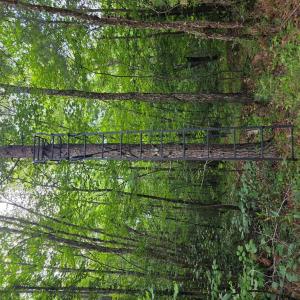 Photo #66 of 1408 Coleman Mountain Rd, Appomattox, VA 23.6 acres