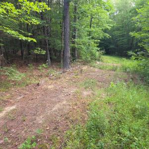 Photo #68 of 1408 Coleman Mountain Rd, Appomattox, VA 23.6 acres