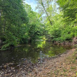 Photo #71 of 1408 Coleman Mountain Rd, Appomattox, VA 23.6 acres