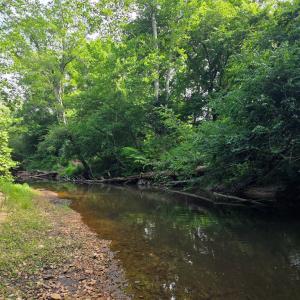 Photo #74 of 1408 Coleman Mountain Rd, Appomattox, VA 23.6 acres