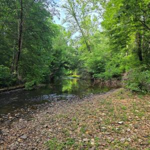 Photo #75 of 1408 Coleman Mountain Rd, Appomattox, VA 23.6 acres