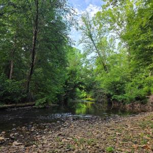 Photo #77 of 1408 Coleman Mountain Rd, Appomattox, VA 23.6 acres