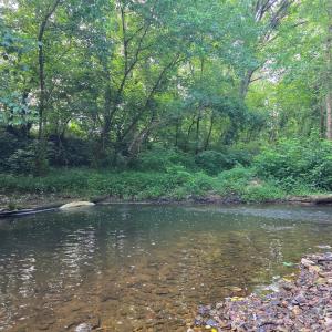 Photo #78 of 1408 Coleman Mountain Rd, Appomattox, VA 23.6 acres