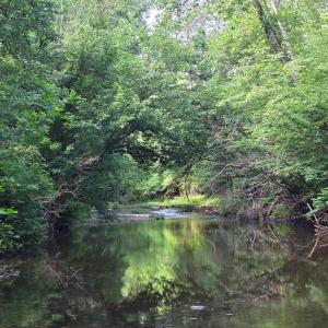 Photo #79 of 1408 Coleman Mountain Rd, Appomattox, VA 23.6 acres