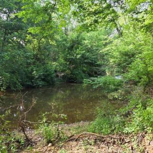 Photo #80 of 1408 Coleman Mountain Rd, Appomattox, VA 23.6 acres