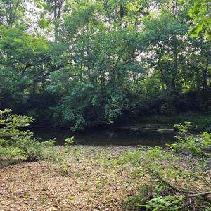 Photo #81 of 1408 Coleman Mountain Rd, Appomattox, VA 23.6 acres