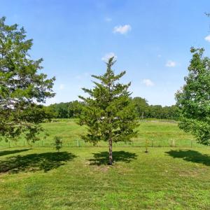 Photo #45 of 3779 S James Madison Hwy, Farmville, VA 2.0 acres