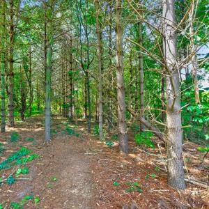 Photo #47 of 3779 S James Madison Hwy, Farmville, VA 2.0 acres