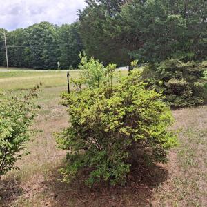 Photo #17 of 13917 S Constitution Rte, Scottsville, VA 15.2 acres