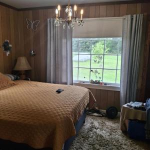 Photo #9 of 13917 S Constitution Rte, Scottsville, VA 15.2 acres