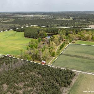 Photo #2 of 402 Easy Street, Dundas, VA 61.8 acres