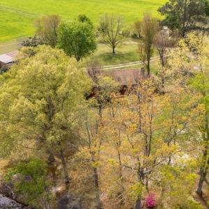 Photo #28 of 402 Easy Street, Dundas, VA 61.8 acres