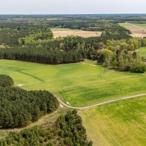 Photo #31 of 402 Easy Street, Dundas, VA 61.8 acres