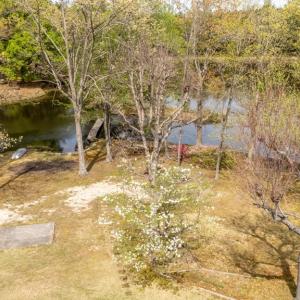 Photo #36 of 402 Easy Street, Dundas, VA 61.8 acres