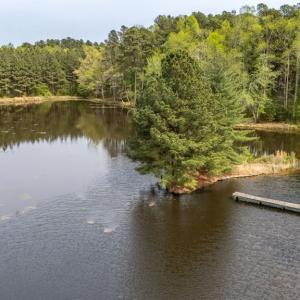 Photo #37 of 402 Easy Street, Dundas, VA 61.8 acres