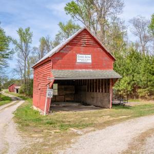 Photo #42 of 402 Easy Street, Dundas, VA 61.8 acres