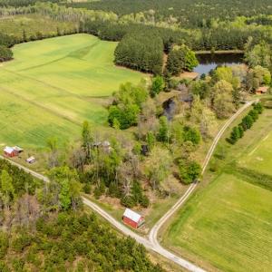 Photo #54 of 402 Easy Street, Dundas, VA 61.8 acres
