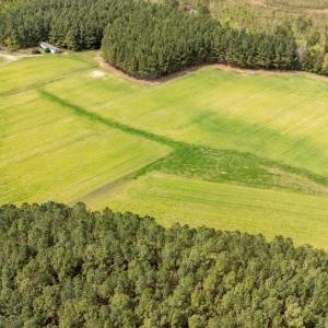 Photo #59 of 402 Easy Street, Dundas, VA 61.8 acres