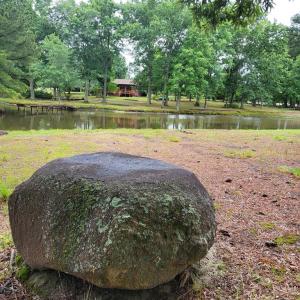 Photo #64 of 402 Easy Street, Dundas, VA 61.8 acres