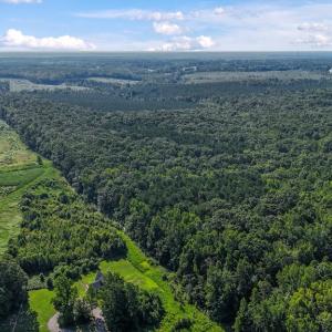 Photo #3 of 6502 Nutbush Road, Green Bay, VA 79.0 acres