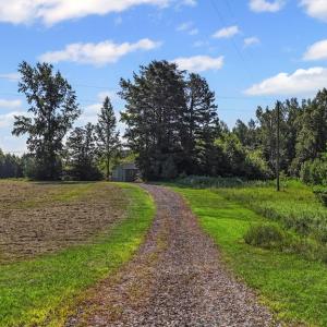Photo #4 of 6502 Nutbush Road, Green Bay, VA 79.0 acres