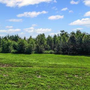 Photo #46 of 6502 Nutbush Road, Green Bay, VA 79.0 acres