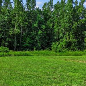 Photo #51 of 6502 Nutbush Road, Green Bay, VA 79.0 acres