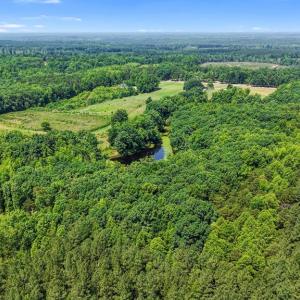 Photo #40 of 6502 Nutbush Road, Green Bay, VA 79.0 acres