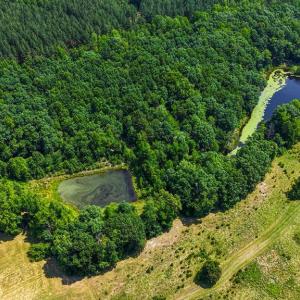 Photo #41 of 6502 Nutbush Road, Green Bay, VA 79.0 acres