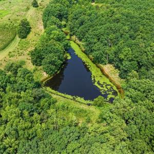 Photo #42 of 6502 Nutbush Road, Green Bay, VA 79.0 acres