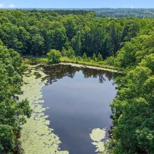 Photo #44 of 6502 Nutbush Road, Green Bay, VA 79.0 acres
