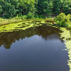 Photo #45 of 6502 Nutbush Road, Green Bay, VA 79.0 acres